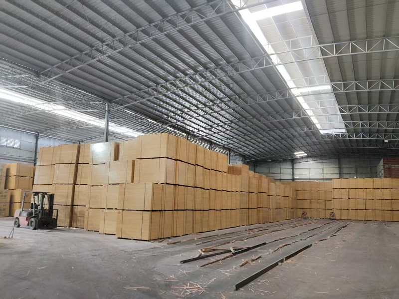 桂木为基，筑粤之兴——广西建筑模板深耕广东市场纪实